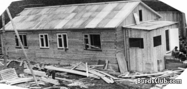Наш дом в с. Паданы (Карелия)